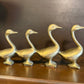 Brass Ducks in a Row
