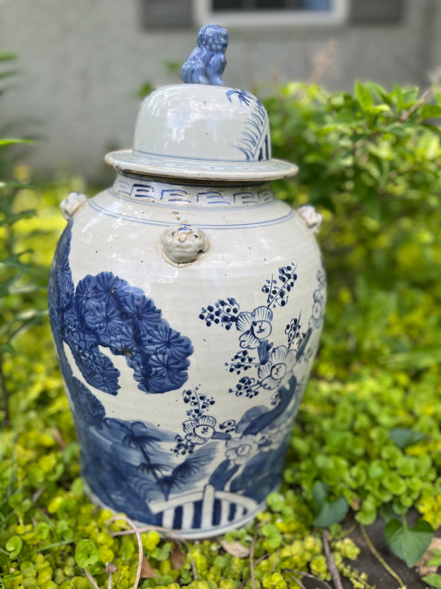 Chinoiserie Ginger Jar