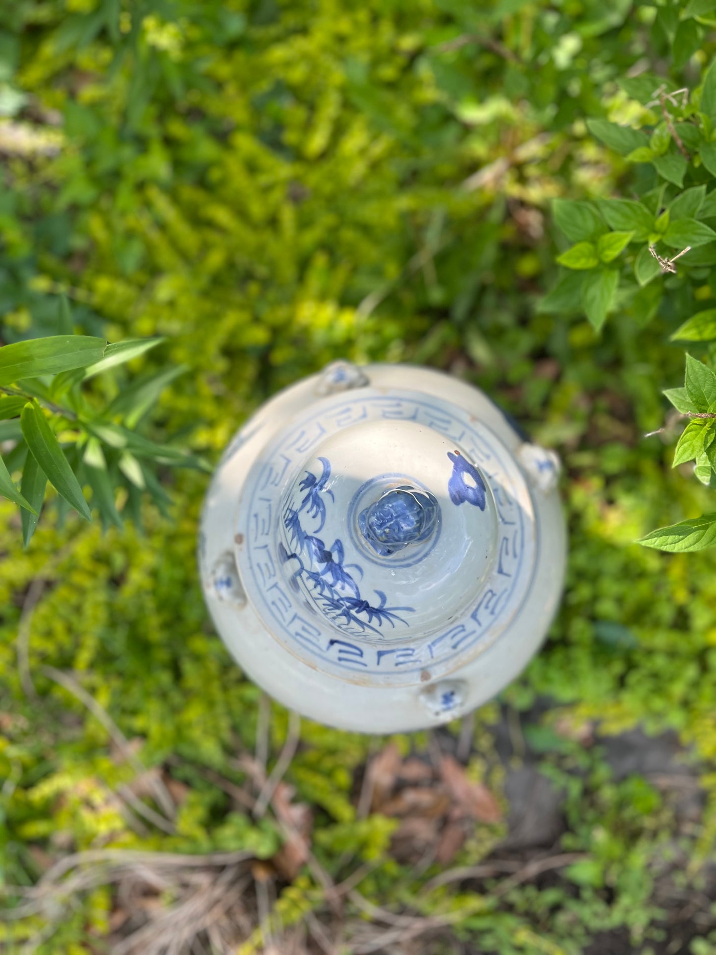 Chinoiserie Ginger Jar